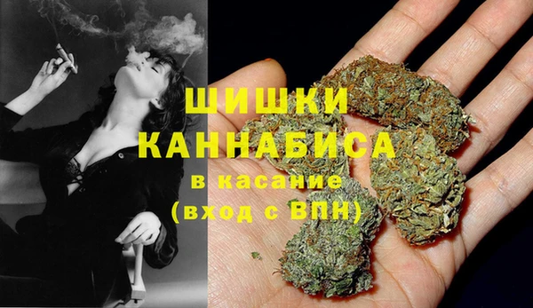 хмурый Абаза