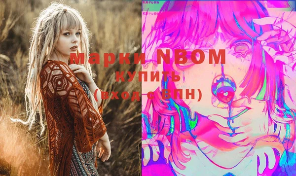 хмурый Абаза