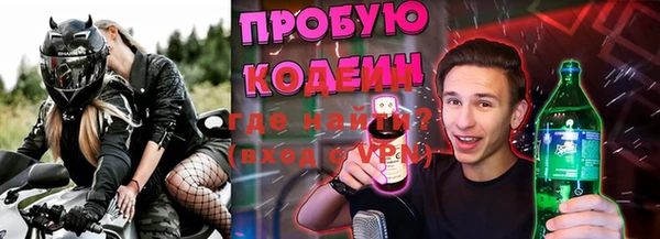 хмурый Абаза