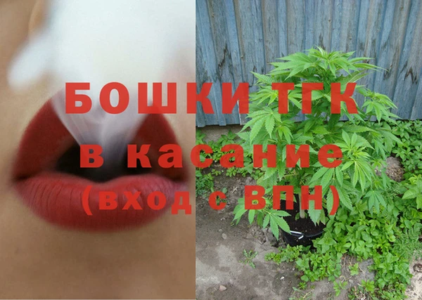 хмурый Абаза