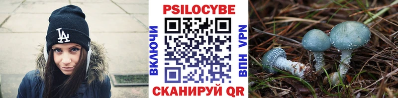 Псилоцибиновые грибы Psilocybine cubensis даркнет сайт Екатеринбург